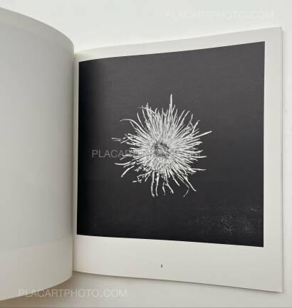 Robert Mapplethorpe,Robert Mapplethorpe Kunsthalle Basel Robert Mapplethorpe,Robert Mapplethorpe Kunsthalle Basel