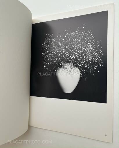 Robert Mapplethorpe,Fotos/Photographs Robert Mapplethorpe,Fotos/Photographs