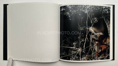 Stephen Gill,Talking to Ants (SIGNED) Stephen Gill,Talking to Ants (SIGNED)