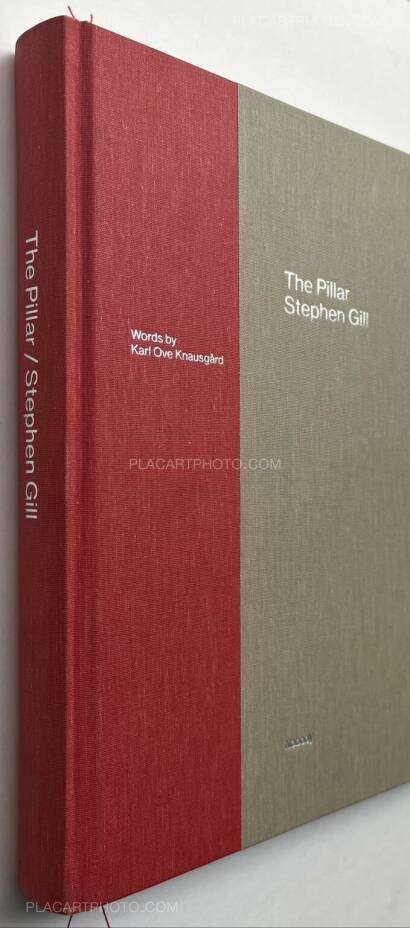 Stephen Gill,The Pillar Stephen Gill,The Pillar