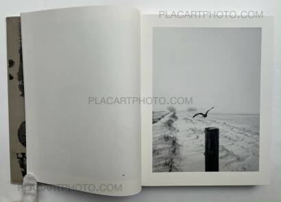 Stephen Gill,The Pillar Stephen Gill,The Pillar