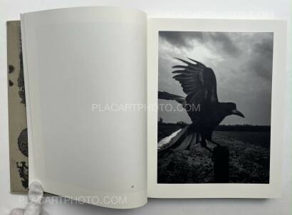 Stephen Gill,The Pillar Stephen Gill,The Pillar