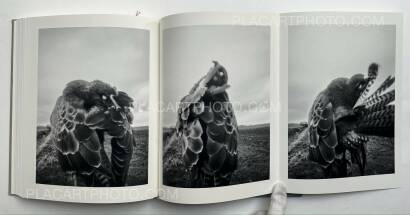 Stephen Gill,The Pillar Stephen Gill,The Pillar