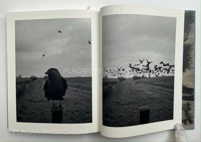 Stephen Gill,The Pillar Stephen Gill,The Pillar