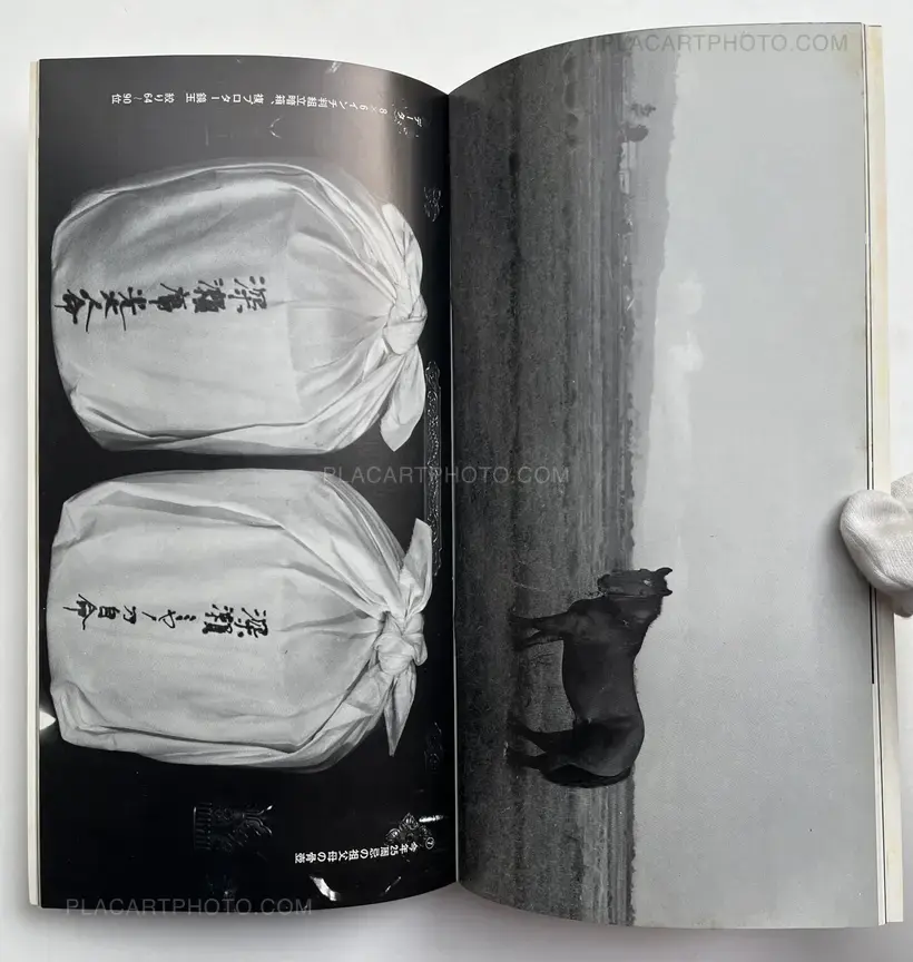 Collective – Workshop No. 5-8