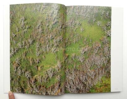 Taiji Matsue,JP-01 SPK (Signed) Taiji Matsue,JP-01 SPK (Signed)