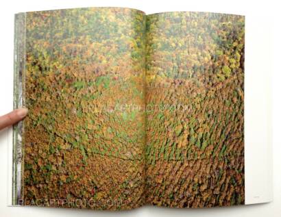 Taiji Matsue,JP-01 SPK (Signed) Taiji Matsue,JP-01 SPK (Signed)