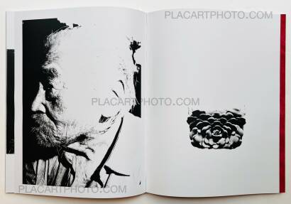 Chan Wai Kwong,Fantastic Central (Signed) Chan Wai Kwong,Fantastic Central (Signed)