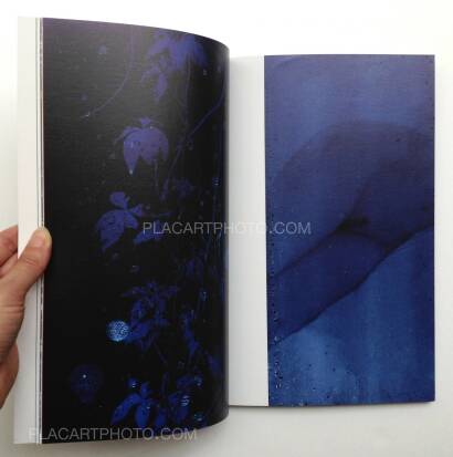 Mayumi Hosokura,Floaters Mayumi Hosokura,Floaters