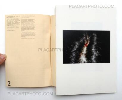 Chen Zhe,Bees & Bearable (Signed) Chen Zhe,Bees & Bearable (Signed)