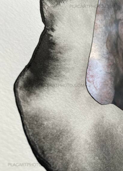 Henri Maccheroni,Clitoris (Edt of 25) Henri Maccheroni,Clitoris (Edt of 25)