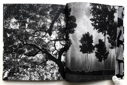 Thierry Valencin,IMAGO (SIGNED) Thierry Valencin,IMAGO (SIGNED)