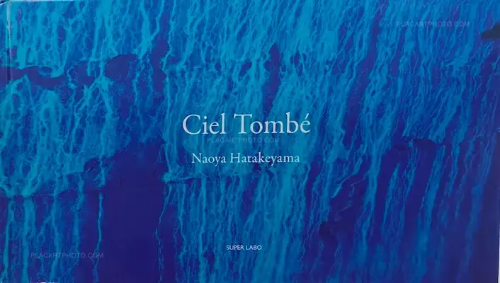 Naoya Hatakeyama – Ciel Tombé (with The Astrologer by Sylvie Germain )
