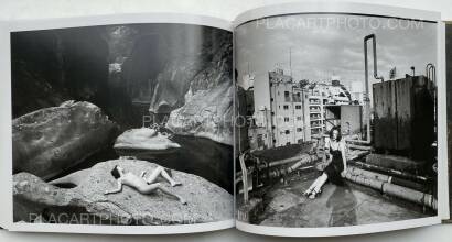 Nobuyoshi Araki,Seikimatsu no Shashin