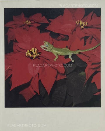 Nobuyoshi Araki,POLAROID (SIGNED) Nobuyoshi Araki,POLAROID (SIGNED)