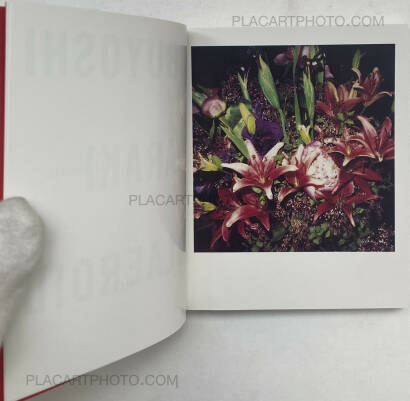 Nobuyoshi Araki,POLAROID (SIGNED) Nobuyoshi Araki,POLAROID (SIGNED)