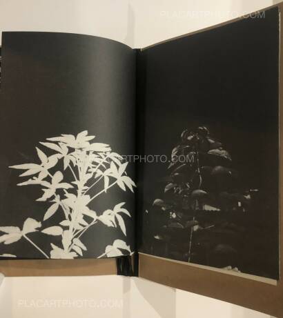 Rohit Saha,1528 (Signed and numbered of 300 copies) Rohit Saha,1528 (Signed and numbered of 300 copies)