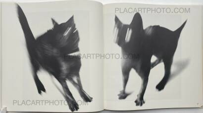 Collective,Koseki Collective,Koseki