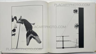 Collective,Koseki Collective,Koseki