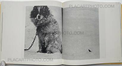 Collective,Koseki Collective,Koseki