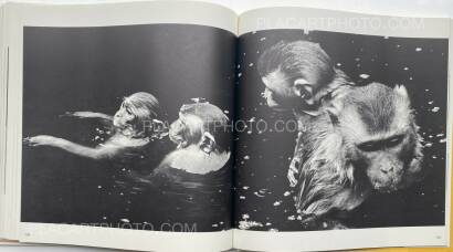 Collective,Koseki Collective,Koseki