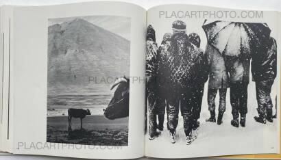 Collective,Koseki Collective,Koseki