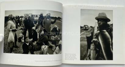 David Lurie,Life in the Liberated Zone David Lurie,Life in the Liberated Zone