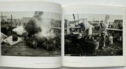David Lurie,Life in the Liberated Zone David Lurie,Life in the Liberated Zone