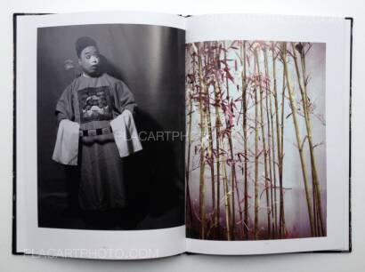 Han Lei,The Critical conditions of my awareness will sometimes trigger the shutter (Signed)