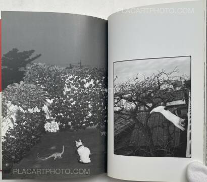 Nobuyoshi Araki,Ai no Balcony (Balcony of Love) (SIGNED WITH OBI) Nobuyoshi Araki,Ai no Balcony (Balcony of Love) (SIGNED WITH OBI)