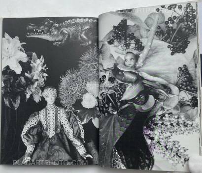 Nobuyoshi Araki,Shishosetsu (SIGNED WITH OBI) Nobuyoshi Araki,Shishosetsu (SIGNED WITH OBI)