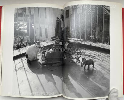 Nobuyoshi Araki,Shashin Shijo Shugi (Personal Sentimentalism in Photography) (SIGNED WITH OBI)