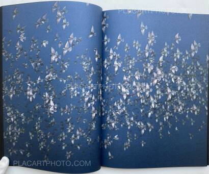 Rinko Kawauchi,HALO (SIGNED) Rinko Kawauchi,HALO (SIGNED)