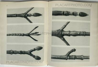 Karl Blossfeldt,Urformen der Kunst 