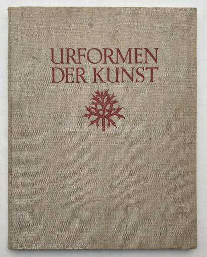 Karl Blossfeldt,Urformen der Kunst 