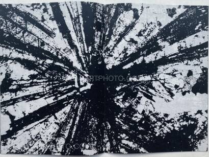 Thibault Tourmente,METAMORPHISME (SIGNED) Thibault Tourmente,METAMORPHISME (SIGNED)