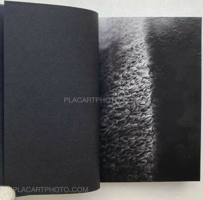 Bastien Deschamps,Evros (SIGNED AND NUMBERED, edt of 15) Bastien Deschamps,Evros (SIGNED AND NUMBERED, edt of 15)