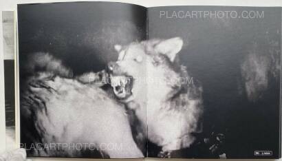 Riccardo Dogana,Panopticon (SIGNED, edt of 130) Riccardo Dogana,Panopticon (SIGNED, edt of 130)