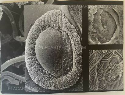 Tomasz Laczny,END TIME (SIGNED AND NUMBERED WITH PRINT, edt of 30) Tomasz Laczny,END TIME (SIGNED AND NUMBERED WITH PRINT, edt of 30)