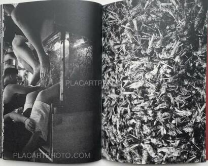 Mauro D'Agati,Bangkok Sketches  Mauro D'Agati,Bangkok Sketches