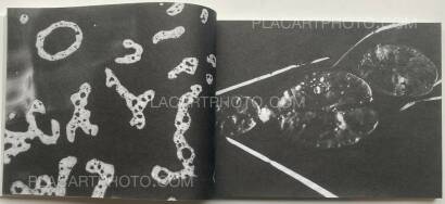 Alyssa Warren,The Lake (Edt of 35)  Alyssa Warren,The Lake (Edt of 35)