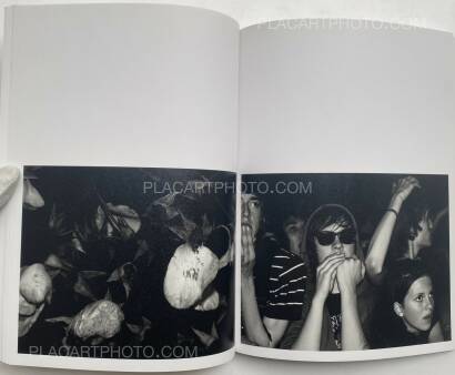 Hedi Slimane,Rock Diary