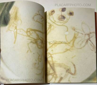 Nobuyoshi Araki,The Banquet (With obi) Nobuyoshi Araki,The Banquet (With obi)