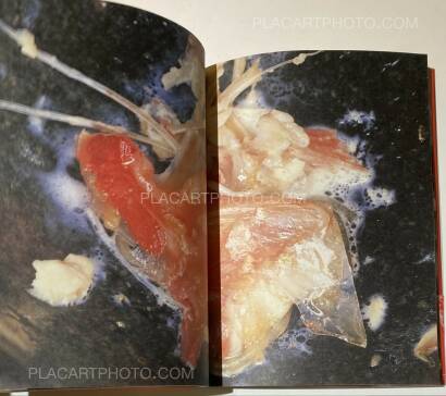 Nobuyoshi Araki,The Banquet (With obi) Nobuyoshi Araki,The Banquet (With obi)