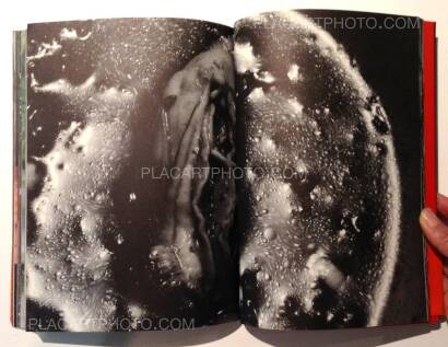 Nobuyoshi Araki,The Banquet (With obi) Nobuyoshi Araki,The Banquet (With obi)