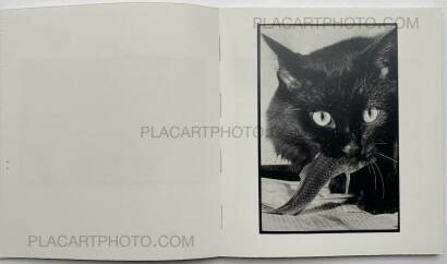 Masahisa Fukase,Wonderful Days Masahisa Fukase,Wonderful Days
