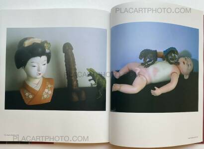Nobuyoshi Araki,The Araki Effect Nobuyoshi Araki,The Araki Effect
