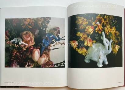 Nobuyoshi Araki,The Araki Effect Nobuyoshi Araki,The Araki Effect