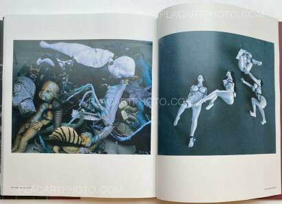 Nobuyoshi Araki,The Araki Effect Nobuyoshi Araki,The Araki Effect