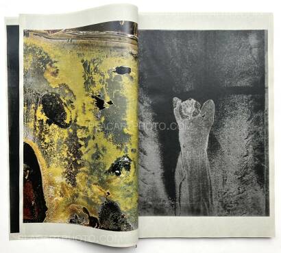 Daisuke Yokota,MATTER 2022 (UNIQUE) (C) Daisuke Yokota,MATTER 2022 (UNIQUE) (C)